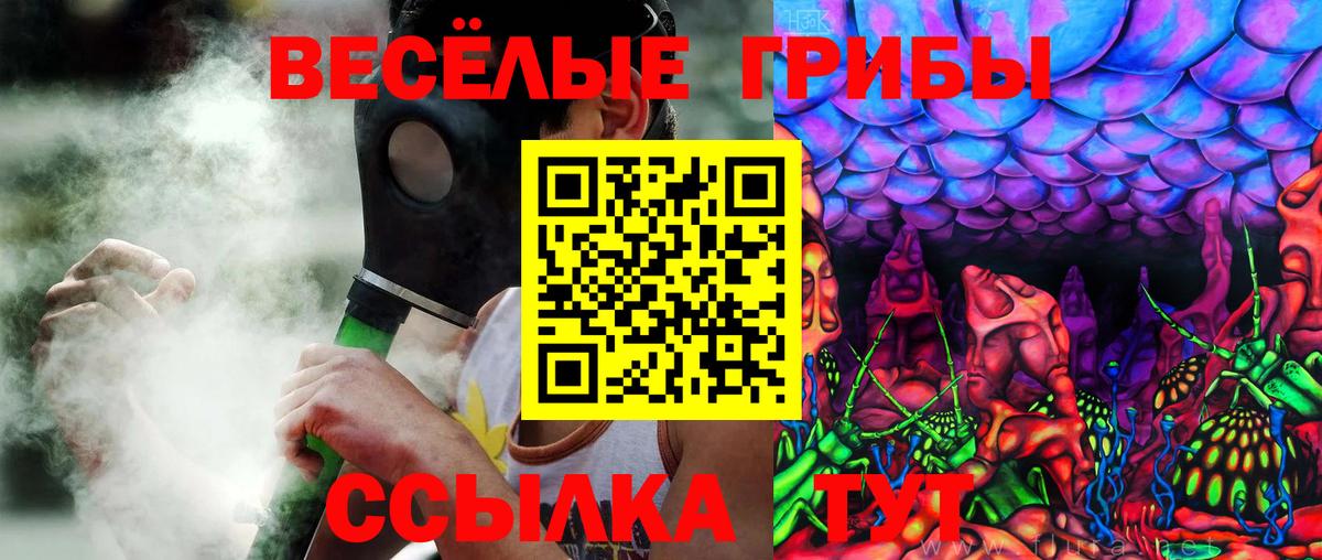 Псилоцибиновые грибы ЛСД Балабаново