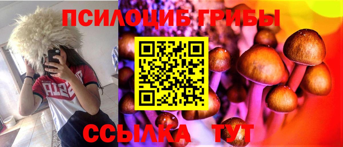сколько стоит  Вход с VPN  Балабаново  Галлюциногенные грибы Psilocybe  Псилоцибиновые грибы ЛСД 